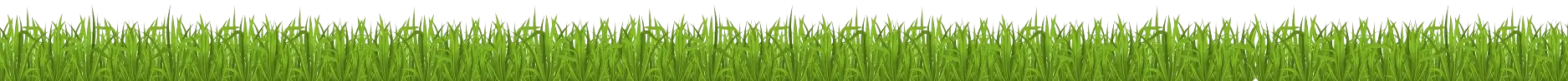 grass image for decoration