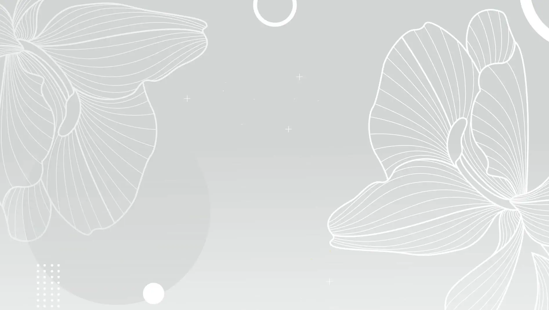 testimonials section background image