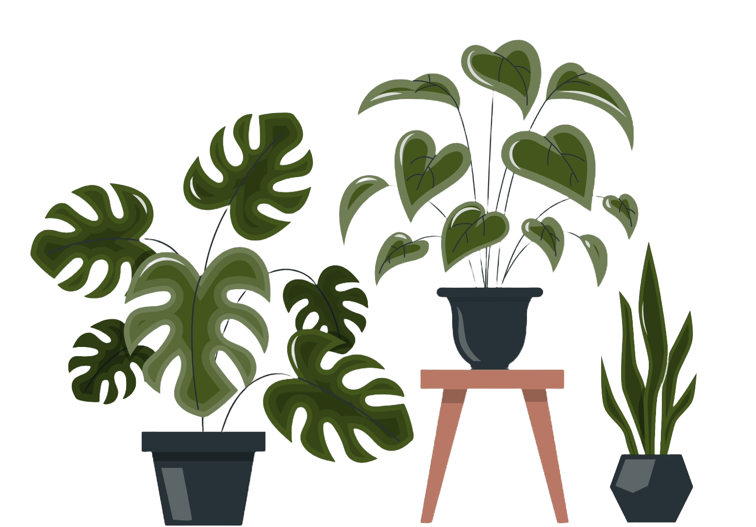 hanging plants in pot